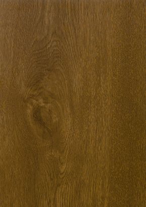 RENOLIT EXOFOL MX GOLDEN OAK 